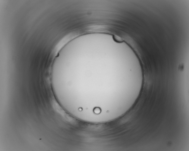 X0000113871386200910151250