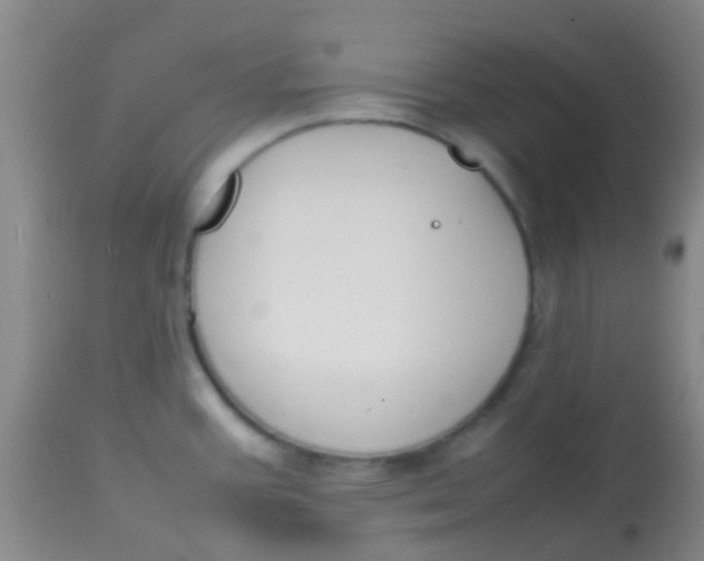 X0000113871387200910151250