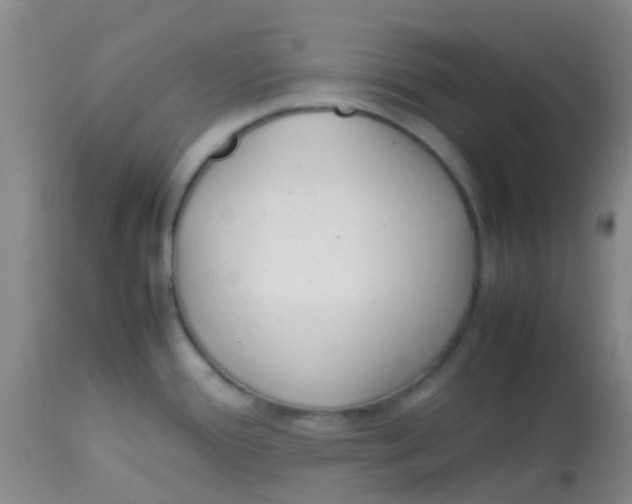 X0000113871388200910151250