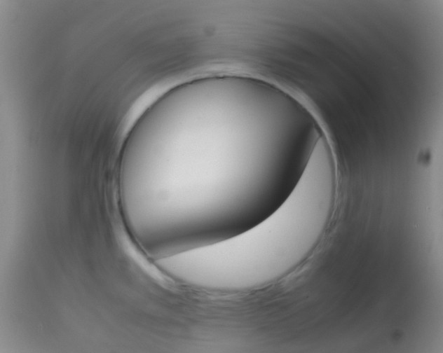 X0000113871389200910151250