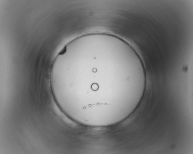 X0000113871390200910151250