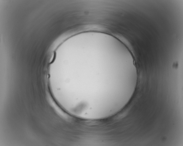 X0000113871391200910151250