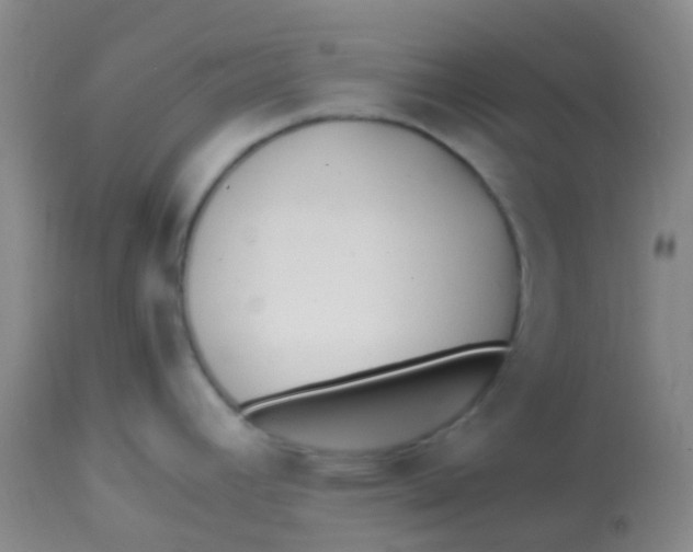 X0000113871392200910151250