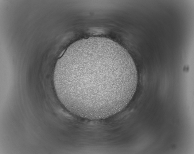 X0000113871393200910151249