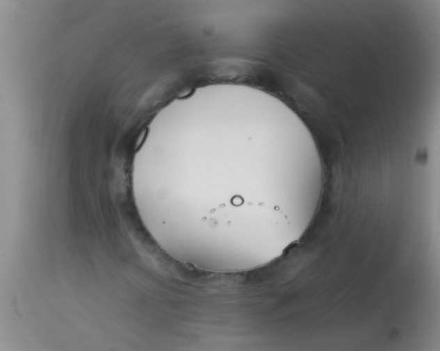 X0000113871394200910151249