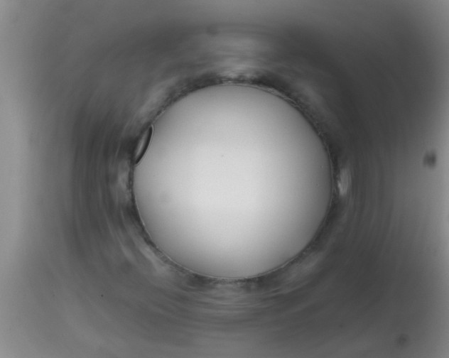 X0000113871396200910151249