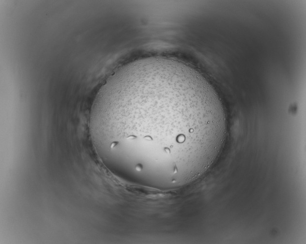 X0000113871397200910151249