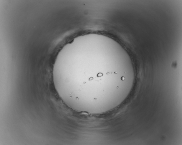 X0000113871398200910151249