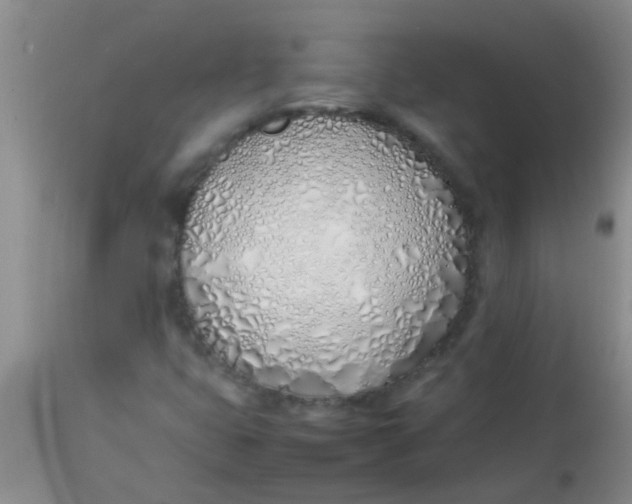 X0000113871399200910151249