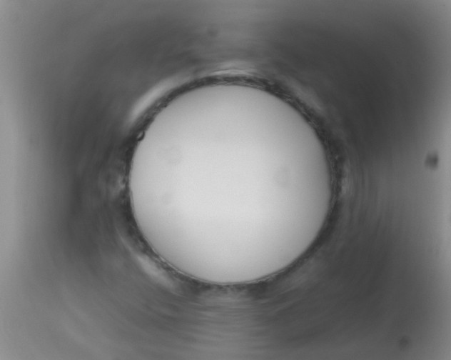 X0000113871400200910151249