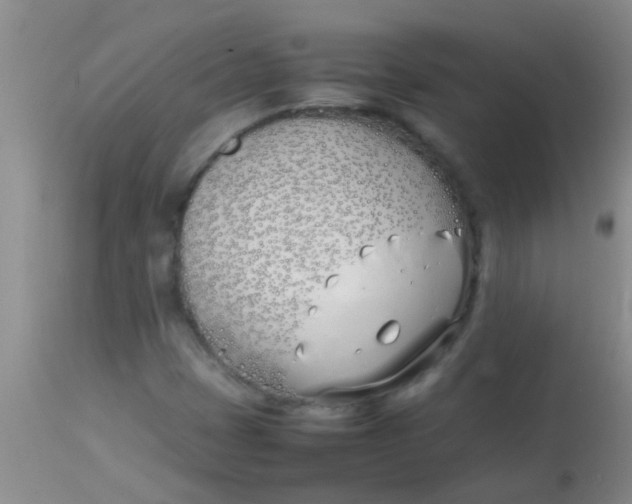 X0000113871401200910151249