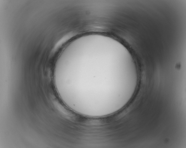 X0000113871402200910151249