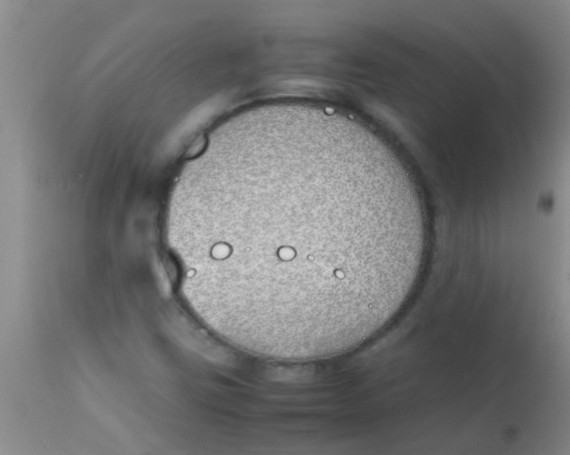 X0000113871403200910151249