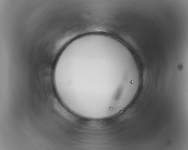 X0000113871404200910151249