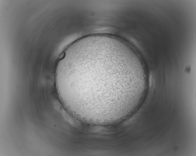 X0000113871405200910151249