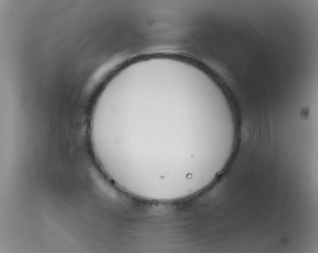 X0000113871406200910151249