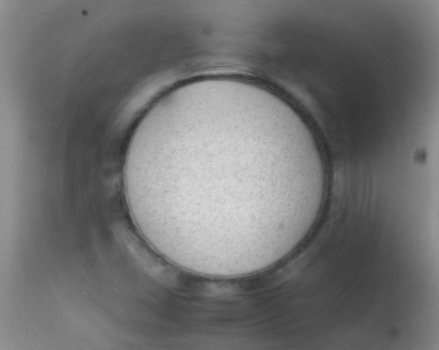 X0000113871407200910151249