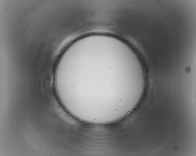 X0000113871408200910151249