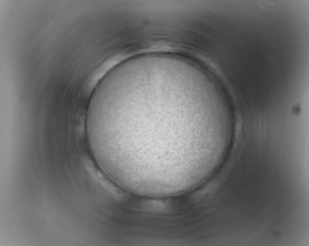 X0000113871409200910151249