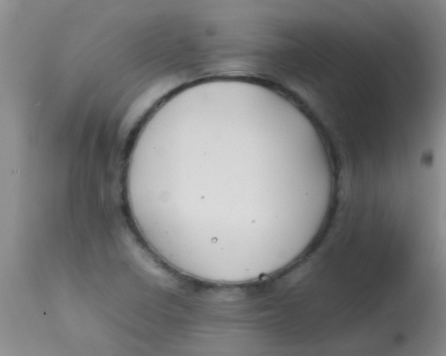 X0000113871410200910151249