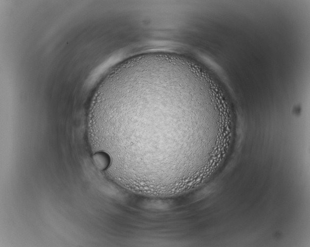 X0000113871411200910151249