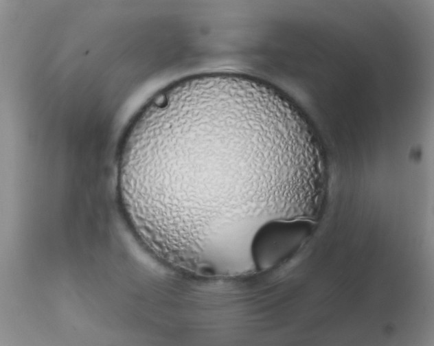 X0000113871414200910151249