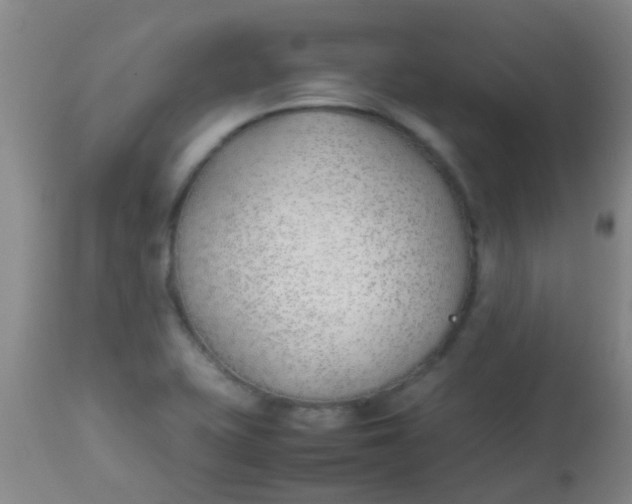 X0000113871415200910151249