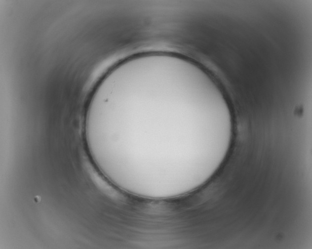 X0000113871416200910151249