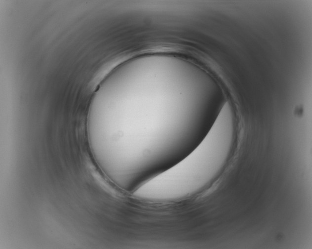 X0000113871417200910151249