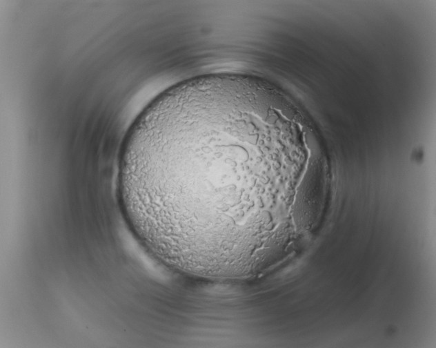 X0000113871418200910151249