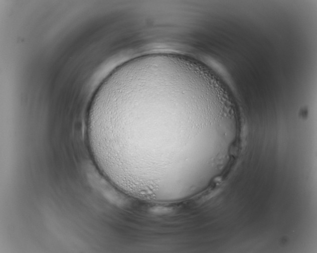 X0000113871419200910151249