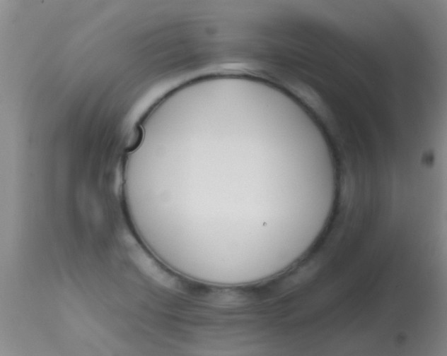 X0000113871420200910151249