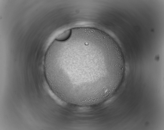 X0000113871421200910151249