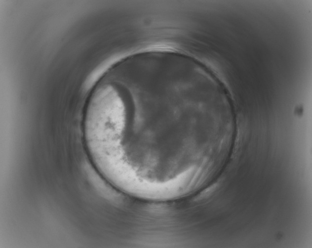 X0000113871422200910151249