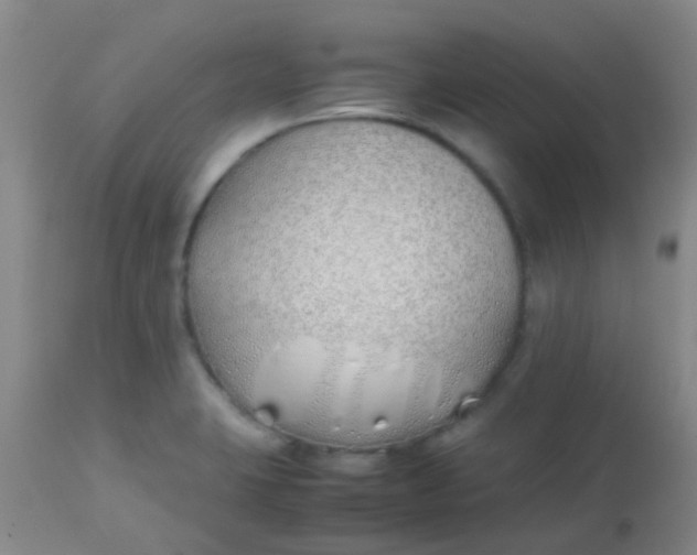 X0000113871423200910151249