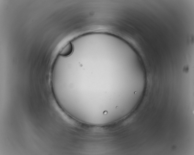 X0000113871424200910151249