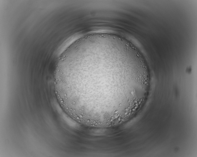 X0000113871425200910151249