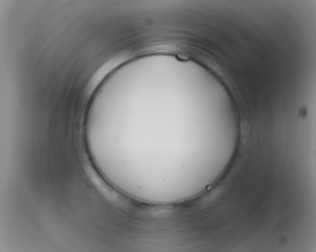 X0000113871426200910151250