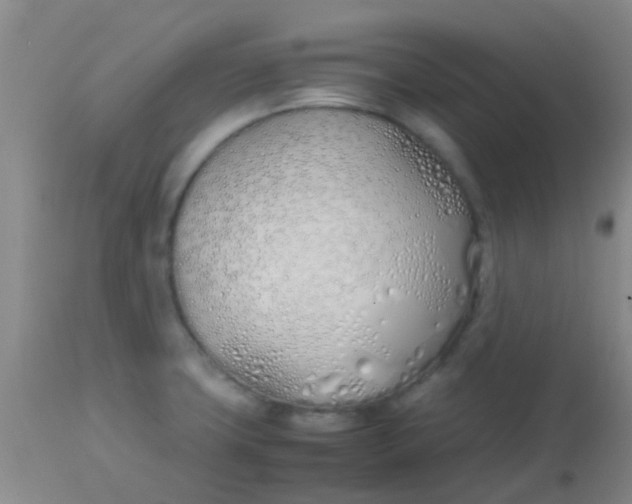 X0000113871427200910151250