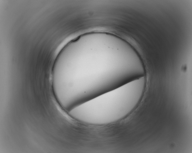 X0000113871428200910151250