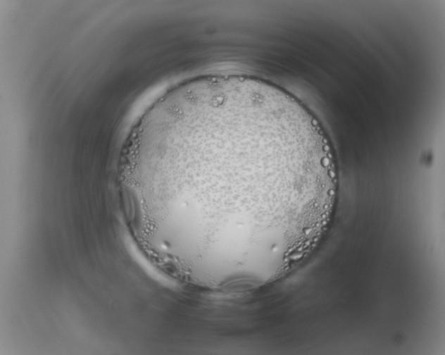 X0000113871429200910151250