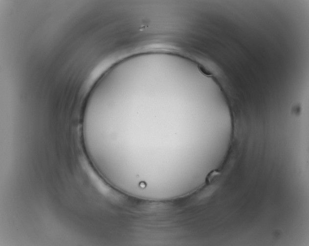 X0000113871430200910151250