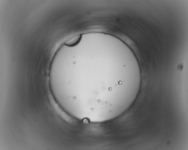 X0000113871431200910151250