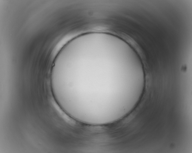 X0000113871432200910151250