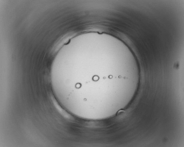 X0000113871433200910151250