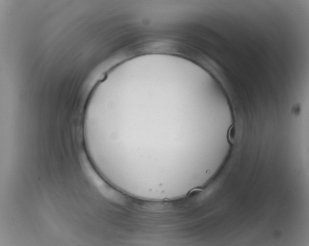 X0000113871434200910151250