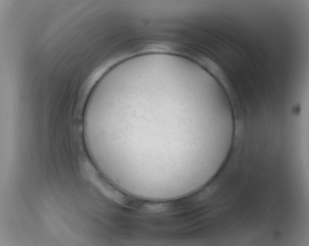 X0000113871435200910151250