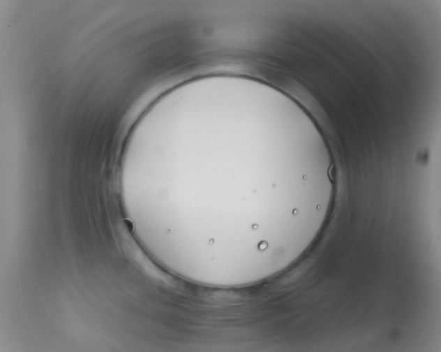 X0000113871436200910151250