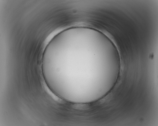 X0000113871437200910151250