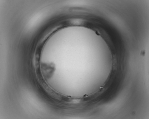 X0000113871438200910151250